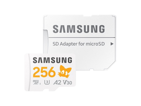 SAMSUNG SONIC microSD 256gb+SD-Adapter