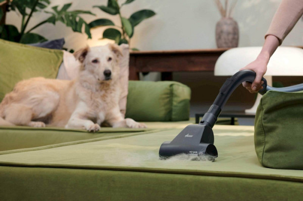 Sesalnik HOOVER HP210P 011, ciklon, 800 W + PET krtača