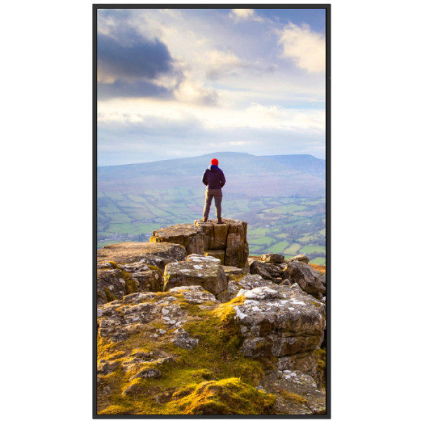 SHARP MultiSync PN-E439 107,95cm (42,5