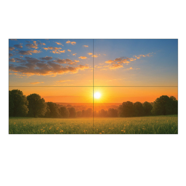 SHARP MultiSync PN-UN553S 139,7 cm (55
