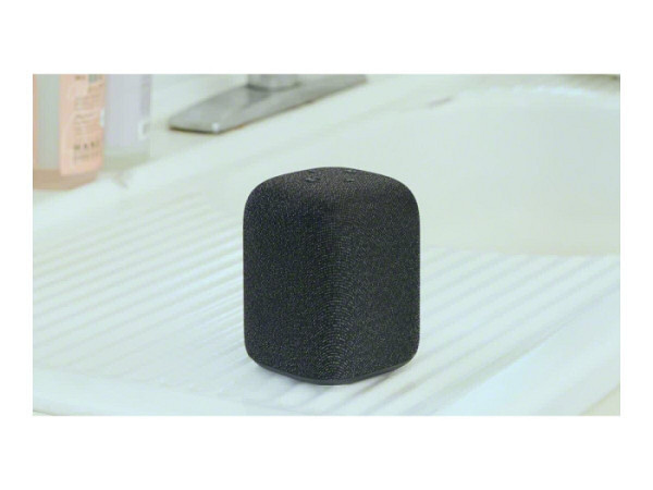 SONY SRS-LS1 LinkBuds speaker black