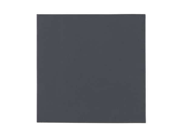 Termična blazinica Thermal Grizzly Minus Pad Pro, 100x100x1 mm