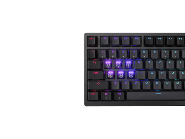 Tipkovnica ASUS ROG Azoth 96 HE Wireless, ROG HFX V2 Analog, PBT, OLED, RGB, USB, US