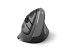 Miška Ewent Wireless Ergonomic Vertical, 2400dpi, črna, USB