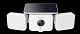 Reolink Solar Floodlight Cam
